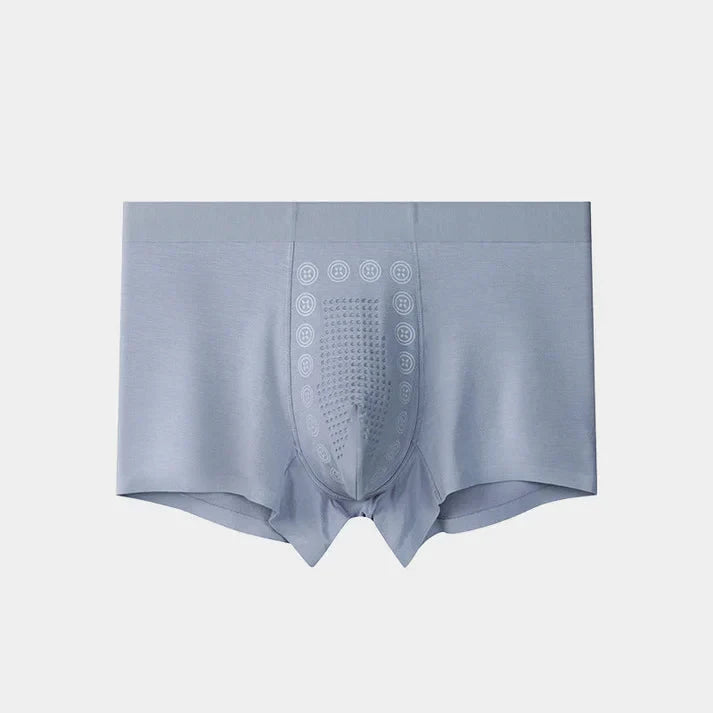 🔥HOT SALE 80% OFF🔥 Men's Ice Silk Briefs Boxers