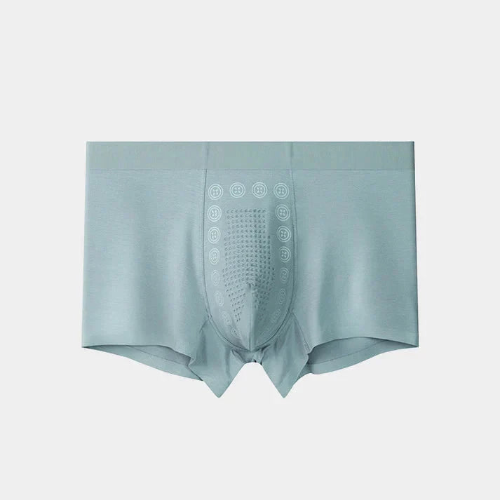 🔥HOT SALE 80% OFF🔥 Men's Ice Silk Briefs Boxers